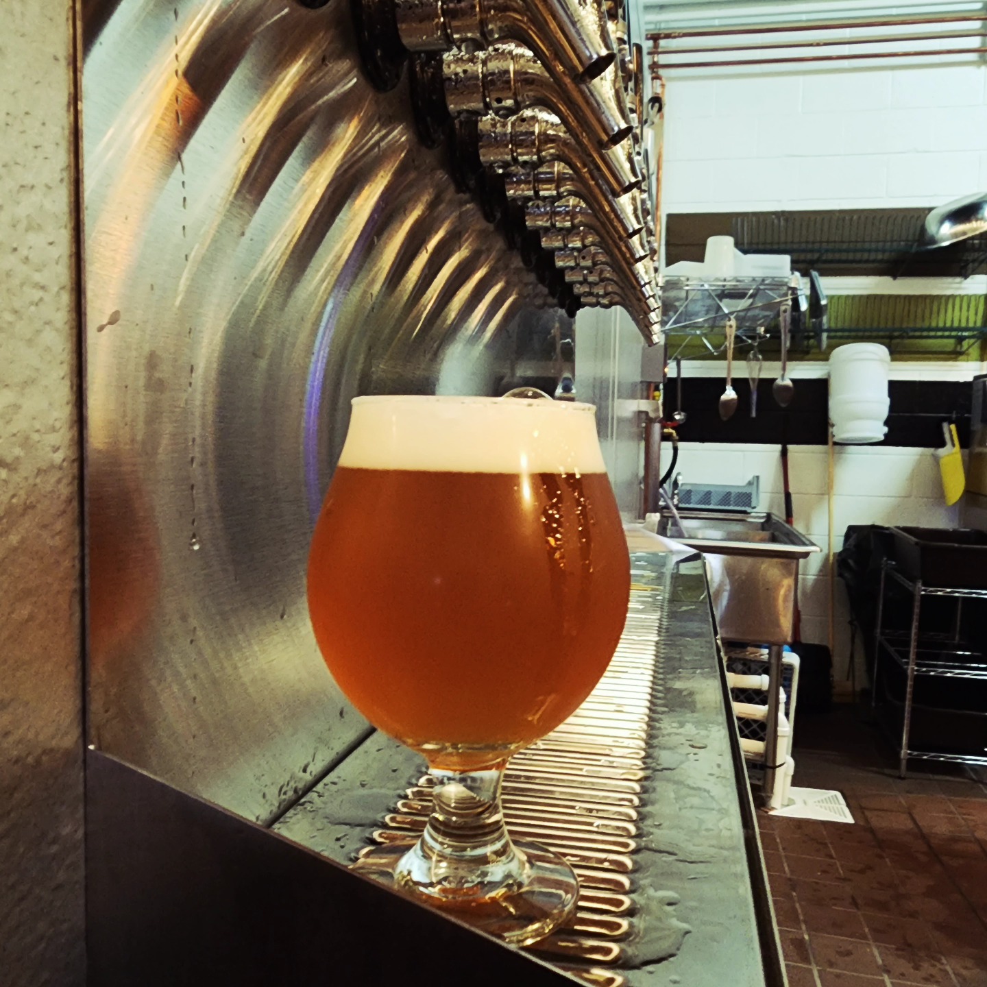 Oktoberfest Beer Dinner